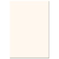 Tiffen 4x5.65" 1/4 Coral Solid Color Filter