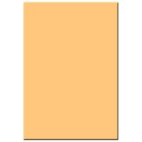 Tiffen 4x5.65" 5 Coral Solid C Picture