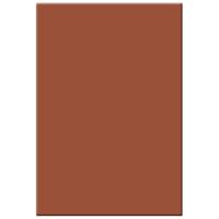 Tiffen 4x5.65" 2 Solid Sepia G Picture