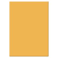 Tiffen 4x5.65" 2 Tobacco Solid Color Filter