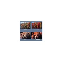Tiffen Digital Enhancing Filter Kit,