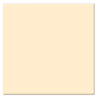 Tiffen 6.6x6.6" 1 Coral Solid Color Filter