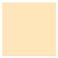 Tiffen 6.6x6.6" 2 Coral Solid Color Filter
