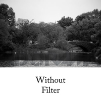 Tiffen 82mm #8 Glass Filter -  Picture