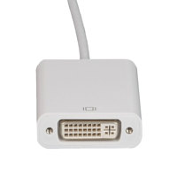 Tera Grand USB 3.1 Type-C Male Picture