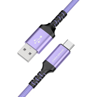 Tera Grand 6' USB 2.0 USB-C to Picture