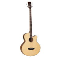 Tanglewood Winterleaf TW8AB Ac Picture