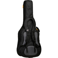 Tanglewood Adventurer OGB EA3  Picture