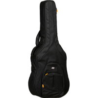 Tanglewood Adventurer OGB EA5  Picture