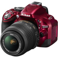 Nikon D5200 24.1 Megapixel DX- Picture