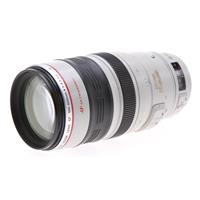 Canon EF 100-400mm f/4.5-5.6L  Picture