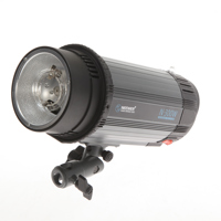 Neewer N-300W 5600k Photo Stud Picture