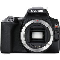 Canon EOS 250D (Rebel SL3) Dig Picture
