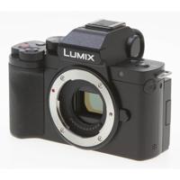 Panasonic Lumix DC-G100 Mirror Picture