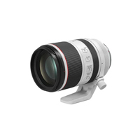 Canon RF 70-200mm f/2.8 L IS U Picture