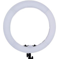 PRISMATIC LIGHTING 18" RING LI Picture