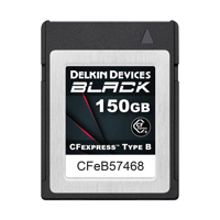 Delkin Devices 150GB BLACK CFe Picture