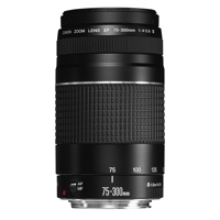 Canon 75-300 f/4-5.6 Autofocus Picture