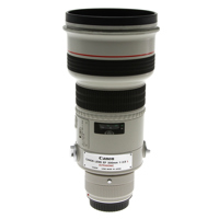 Canon EF 300mm F/2.8 Ultrasoni Picture