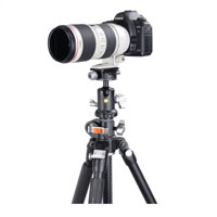 Vanguard VEO BH-160S Dual-Axis Picture