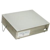 Porta Trace Gagne 10x12" Light Picture
