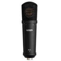 Warm Audio WA-87jr Large Diaph Picture