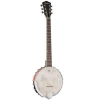 Washburn Americana Series B6 6 Picture