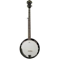 Washburn B8K 5-String Bajno Pa Picture