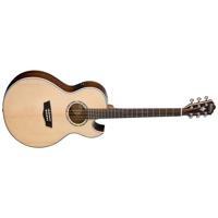 Washburn Festival Series EA20S Picture