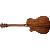 Washburn Heritage 10 Series HF Picture