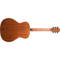 Washburn Heritage 100 Series H Picture