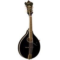 Washburn Americana Series M1SD Picture