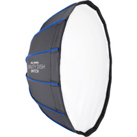 Westcott Beauty Dish Switch Picture