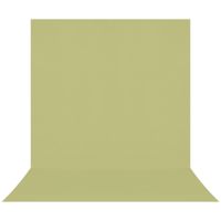 Westcott 8x13' X-Drop Pro Wrin Picture