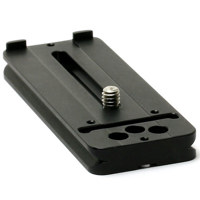 Wimberley P20 3.9" Arca-Type Q Picture