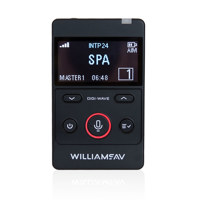 Williams Sound DLT 400-AIM Dig Picture