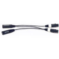 Whirlwind 1.5' 2 XLR Male to 2 Picture