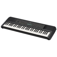 Yamaha PSR-E283 61-Key Entry-L Picture