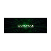 Zynaptiq WORMHOLE Otherworldly Picture