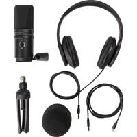 Zoom ZUM-2 Podcast USB Microph Picture