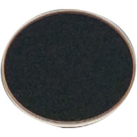ZWO D21 21mm Anti-Reflection P Picture