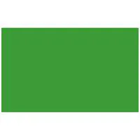 Adorama Seamless Background Pa Picture