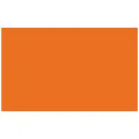 Adorama Seamless Background Pa Picture
