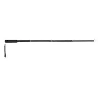Aladdin Hand Pole for EYE-LITE Picture