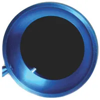 Alan Gordon Enterprises Blue R Picture