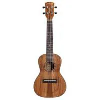 Alvarez Artist AU90C Concert A Picture