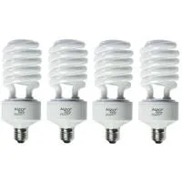 Alzo Digital 45W 220V CFL Vide Picture