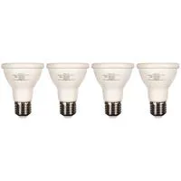 Alzo Digital Joyous Light PAR2 Picture