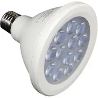 Alzo Digital 12W (100W) Joyous Picture