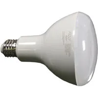 Alzo Digital 8W (80W) Joyous L Picture
